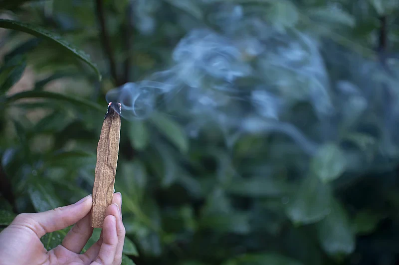 Vydymovadlo Palo Santo - Ecunative