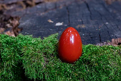 YONI EGG Vitality (Červený Jaspis) - YONI vajíčko bez dierky